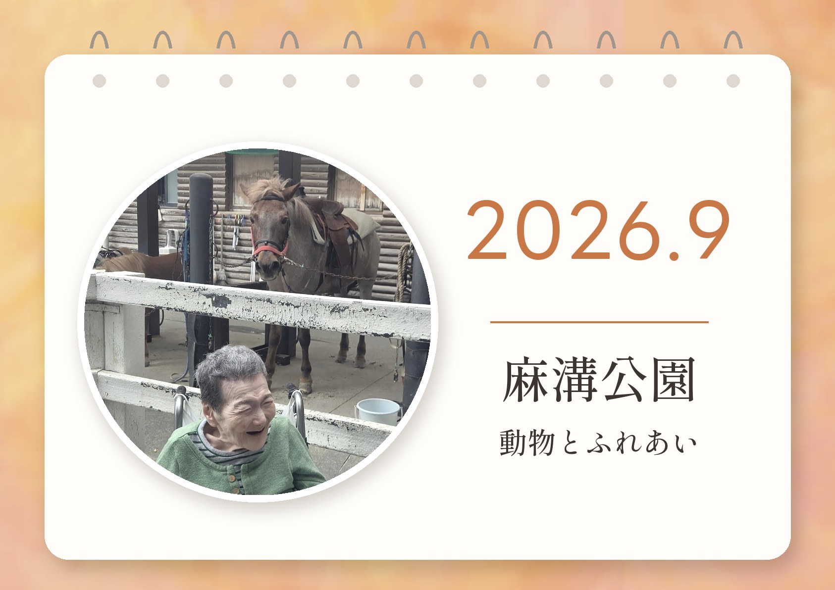 麻溝公園への外出の記事の表紙