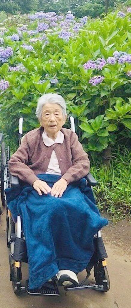 相模原北公園で満開のアジサイの前に車椅子で座る利用者様